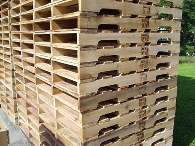Pile of Wooden Pallets in Kissimmee Florida